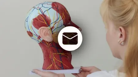 5 DNI 5 WARSTW - CZY NAPRAWDĘ ZNASZ ANATOMIĘ TWARZY?