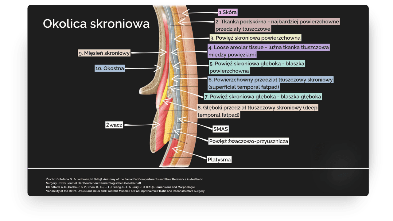 “Okolica skroniowa medycyna estetyczna | Kompendium Anatomii”