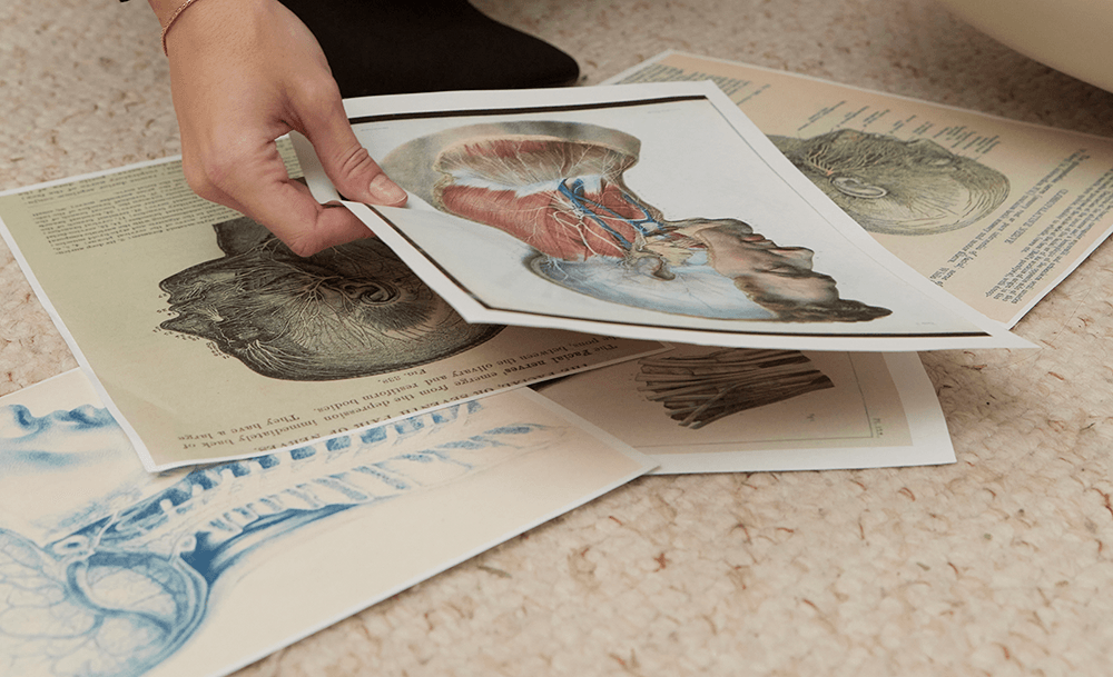 KOMPENDIUM ANATOMII W MEDYCYNIE ESTETYCZNEJ